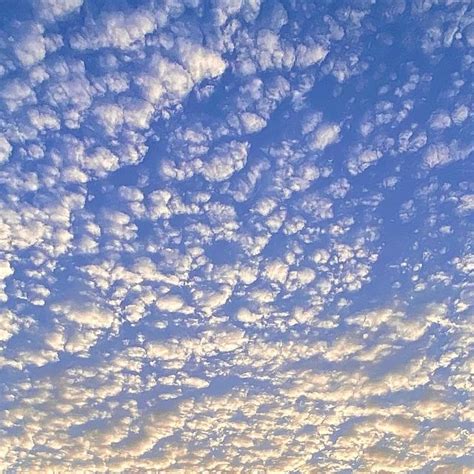 朝空|朝空(アサゾラ)とは？ 意味や使い方